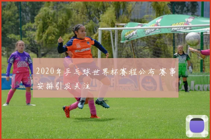 2020年乒乓球世界杯赛程公布 赛事安排引发关注