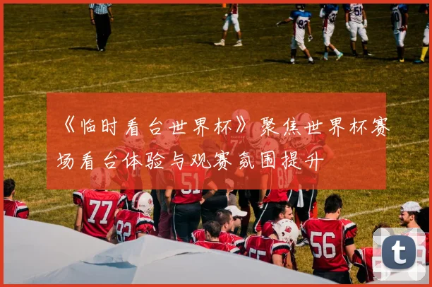 《临时看台世界杯》聚焦世界杯赛场看台体验与观赛氛围提升