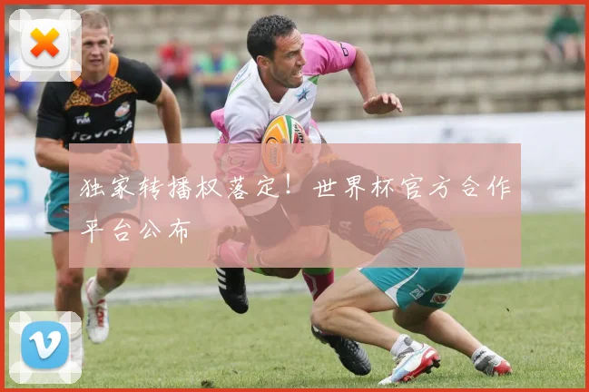 独家转播权落定！世界杯官方合作平台公布