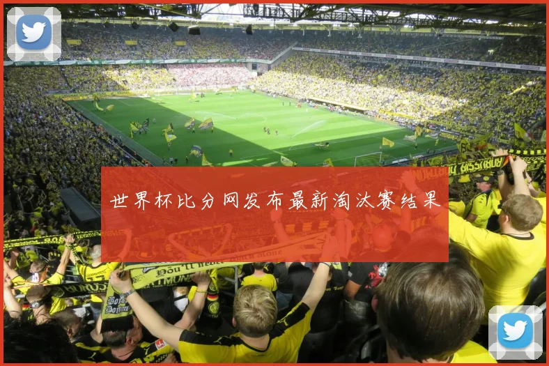 世界杯比分网发布最新淘汰赛结果