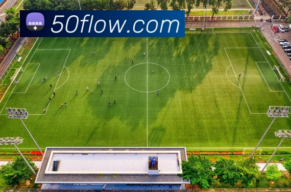 买球官方平台生态图